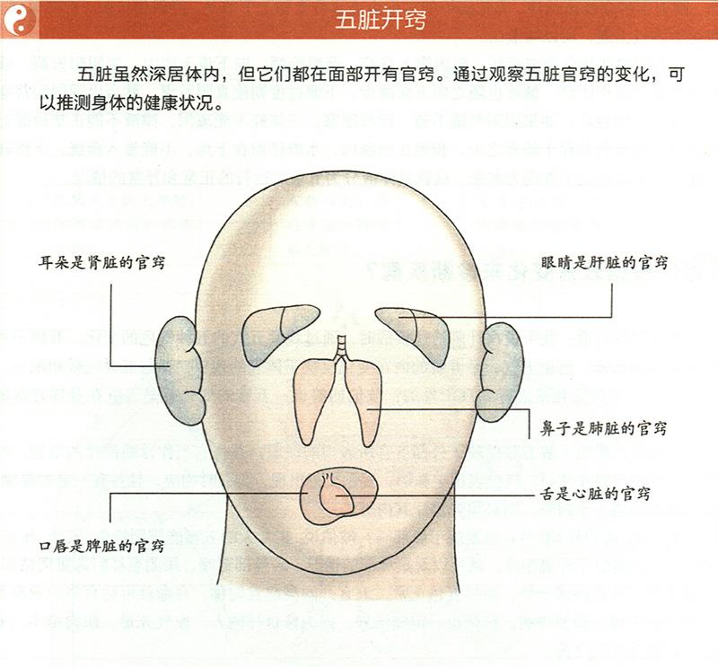 如何根據(jù)五官變化來診斷疾??？