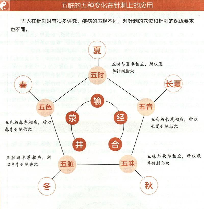 五臟的五種變化對(duì)應(yīng)的不同針刺法有哪些？