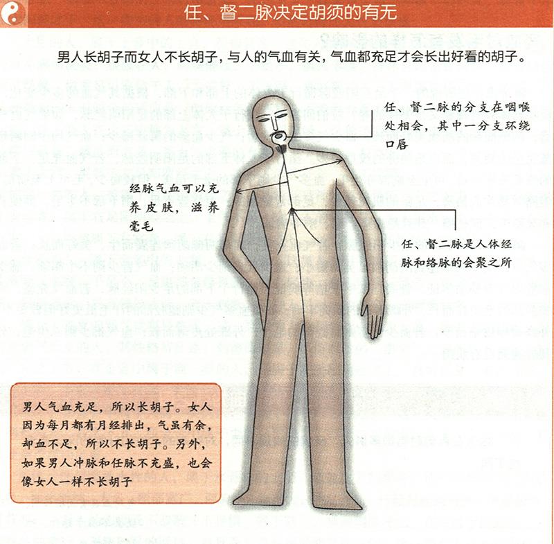 氣血對(duì)毛發(fā)有怎樣的影響？