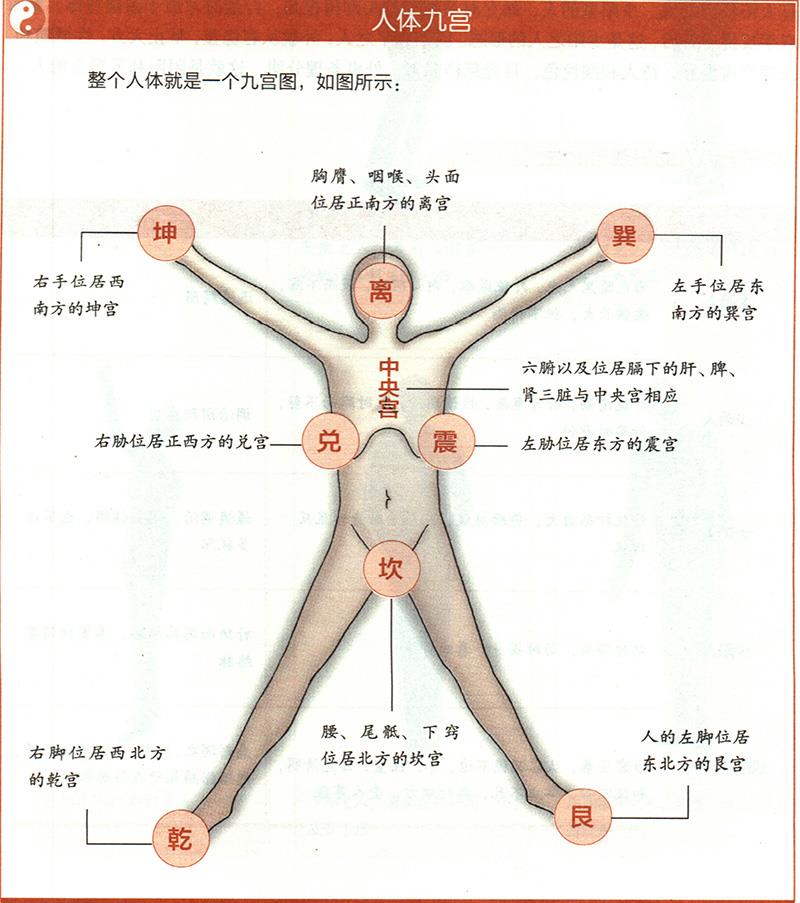 人體各部與九野是怎樣對應的？