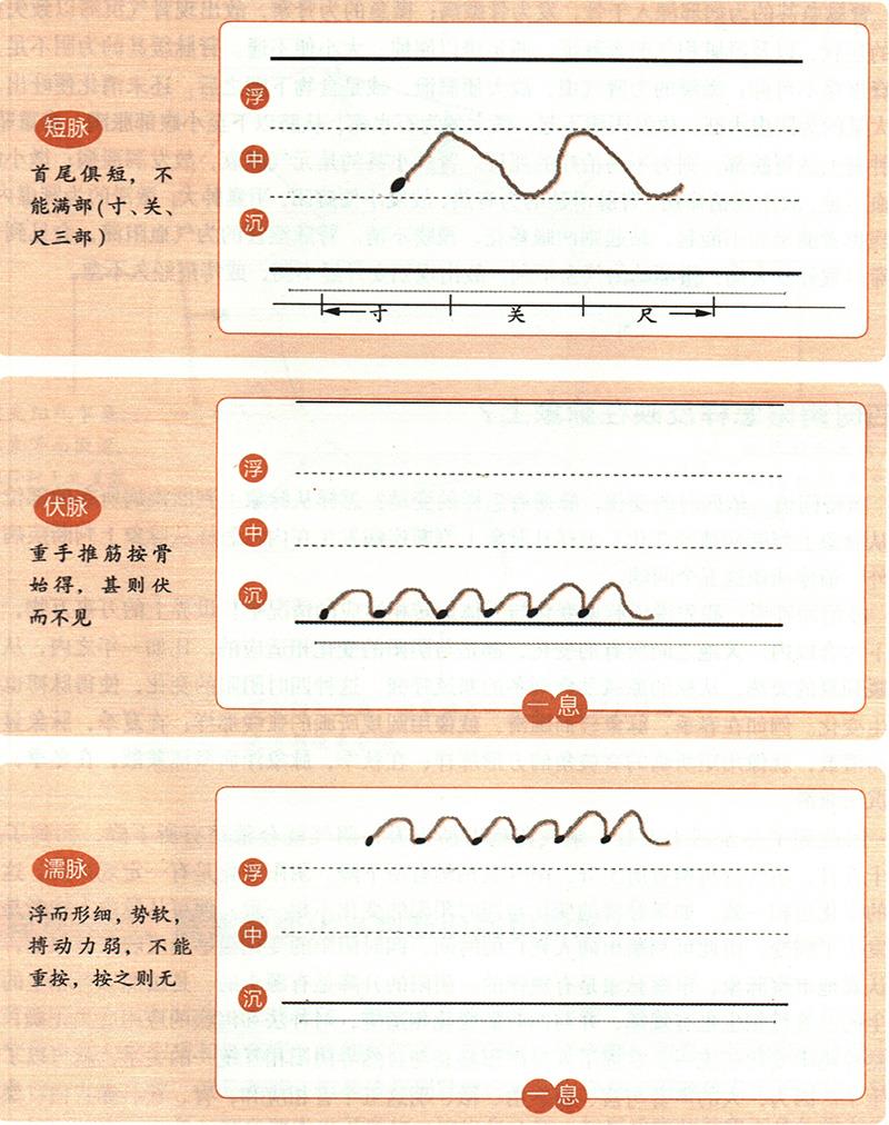 緩、急、小、大、滑、澀六種脈象所對應的病狀情形是怎樣的？