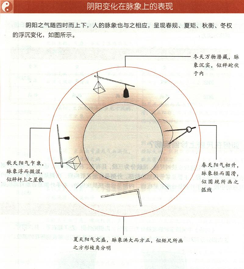 四時(shí)陰陽(yáng)怎樣反映在脈象上？