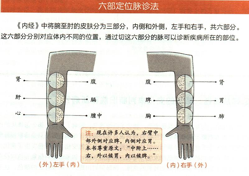 如何在尺膚上診斷疾??？