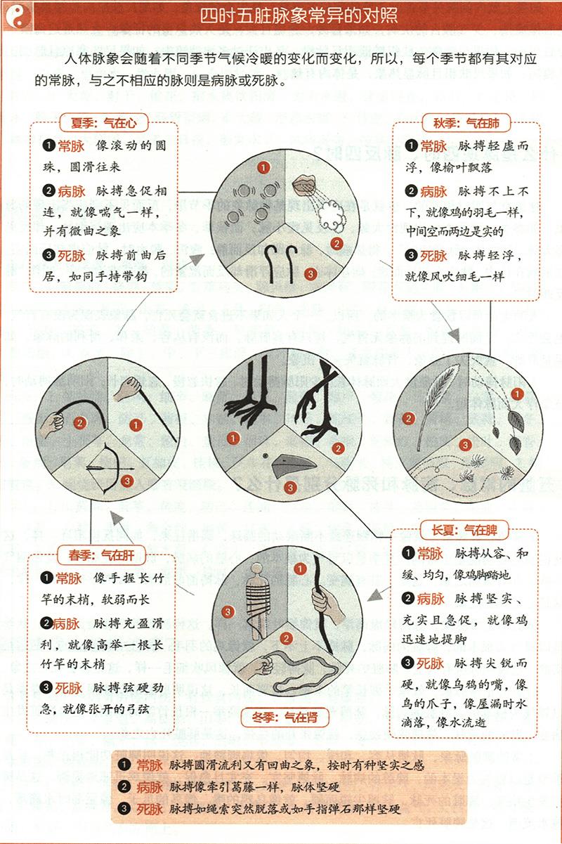 五臟的常脈、病脈和死脈分別是什么？