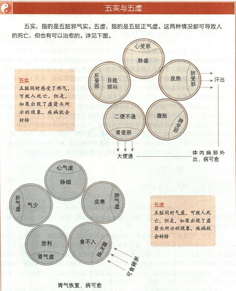 什么是五實五虛？