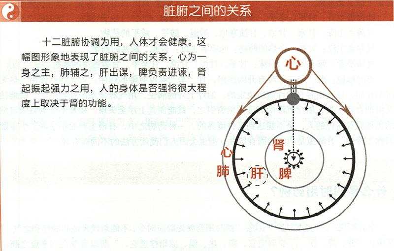 什么是五臟五味補(bǔ)瀉？