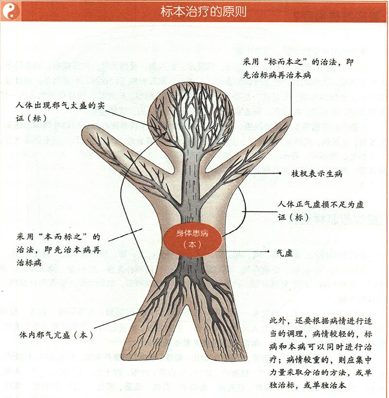 什么是標(biāo)本陰陽？