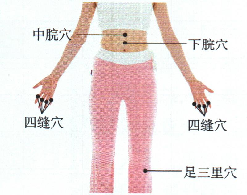 按摩足三里穴、四縫穴、中脘穴，促進(jìn)吸收增點(diǎn)肉