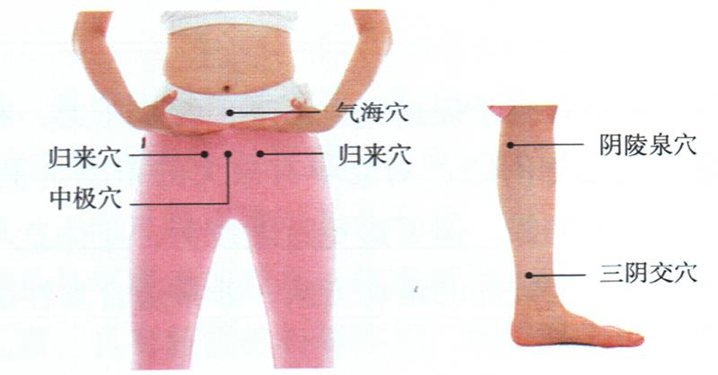 按摩歸來穴、中極穴等，健脾調經更助孕