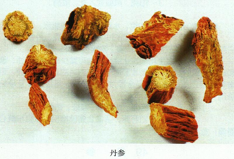 蒙藥經(jīng)方