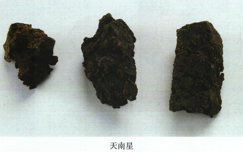 蒙藥經(jīng)方