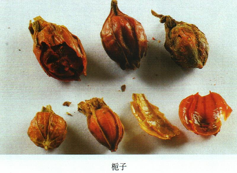 蒙藥經(jīng)方