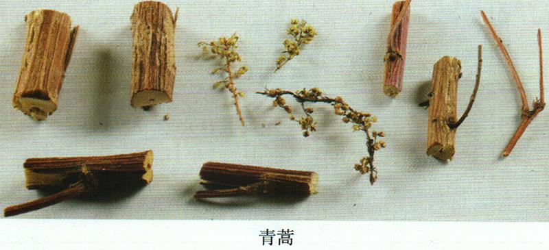 蒙藥經(jīng)方