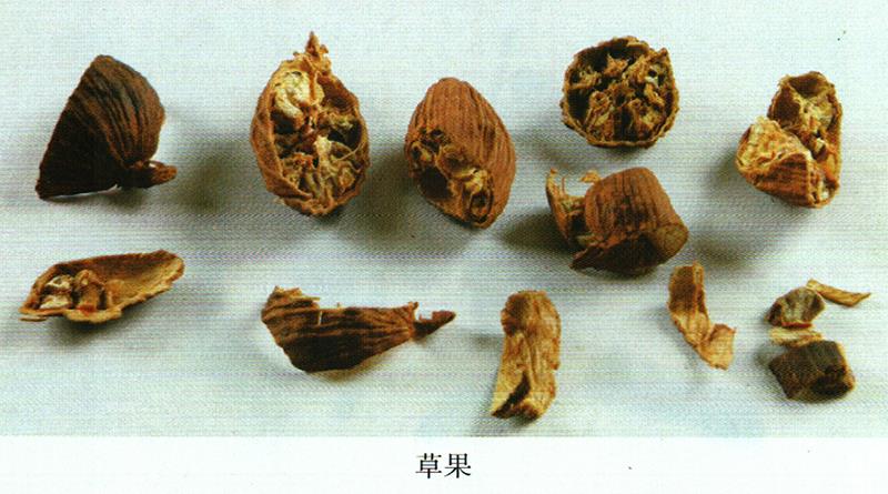 蒙藥經(jīng)方