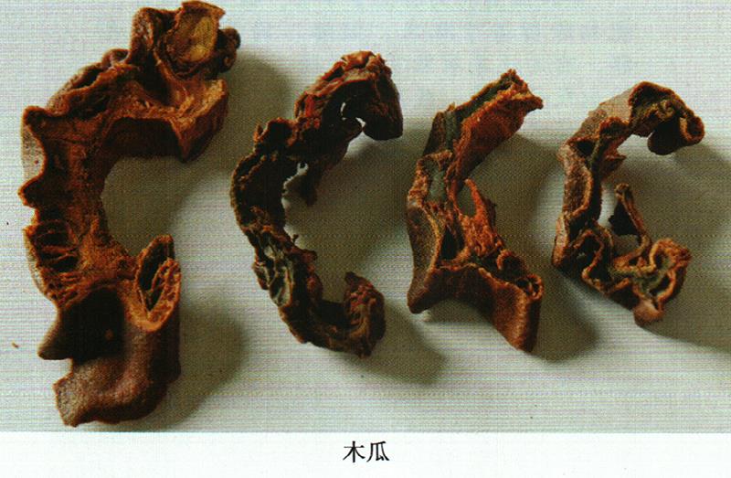 蒙藥經(jīng)方