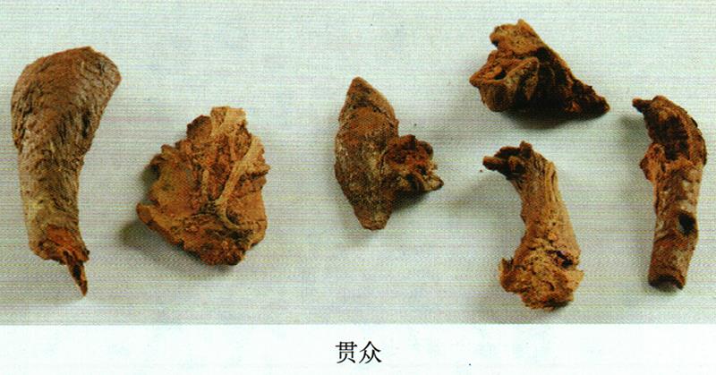 蒙藥經(jīng)方