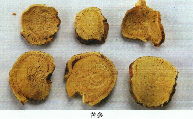 蒙藥經(jīng)方