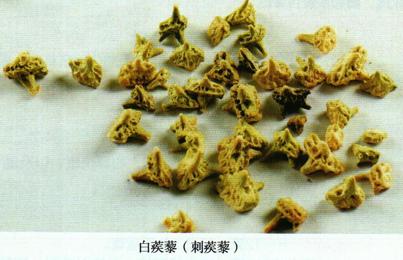 維藥經(jīng)方