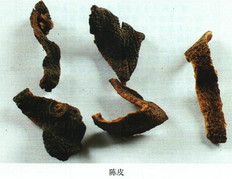 維藥經(jīng)方